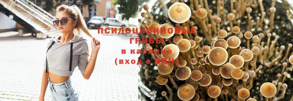 Альфа ПВП Надым